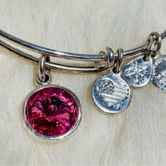 Alex and Ani October Rose Crystal Birthstone Charm Bracelet in Adjustable Silver - Picture 7 of 10
